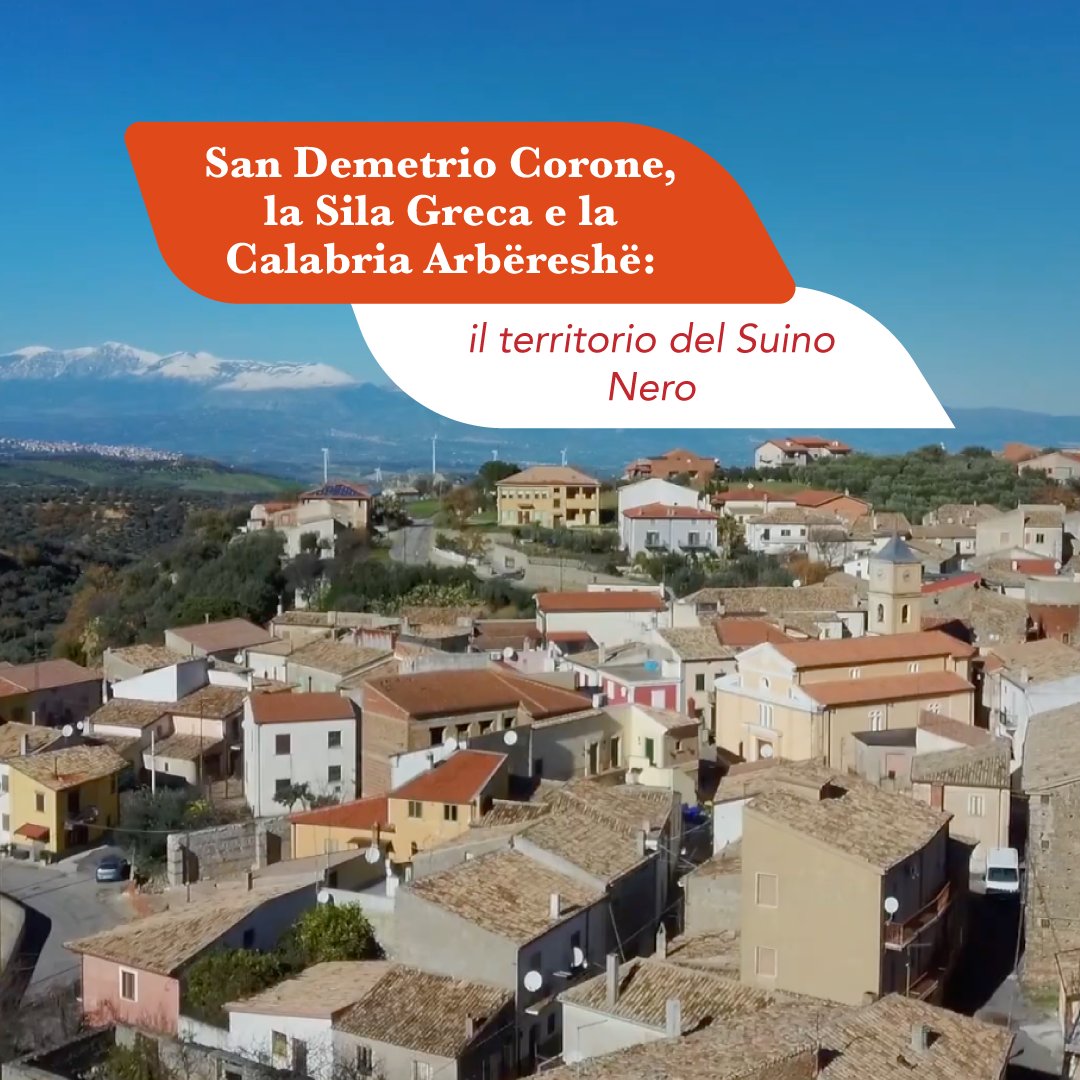 Veduta di San Demetrio Corone nella Sila Greca, centro arbëreshë della Calabria, con le montagne innevate sullo sfondo