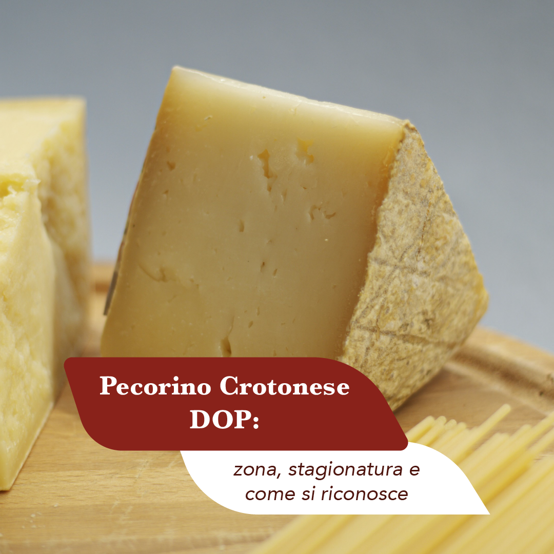 Spicchio di Pecorino Crotonese DOP stagionato con la pasta paglierina e i segni del canestro impressi sulla crosta