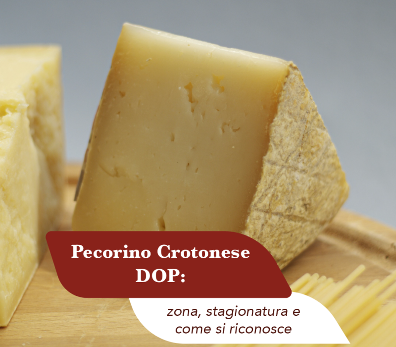 Spicchio di Pecorino Crotonese DOP stagionato con la pasta paglierina e i segni del canestro impressi sulla crosta