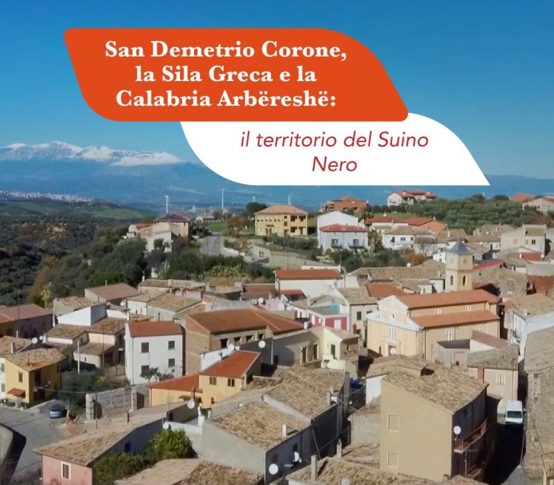 Veduta di San Demetrio Corone nella Sila Greca, centro arbereshe della Calabria, con le montagne innevate sullo sfondo